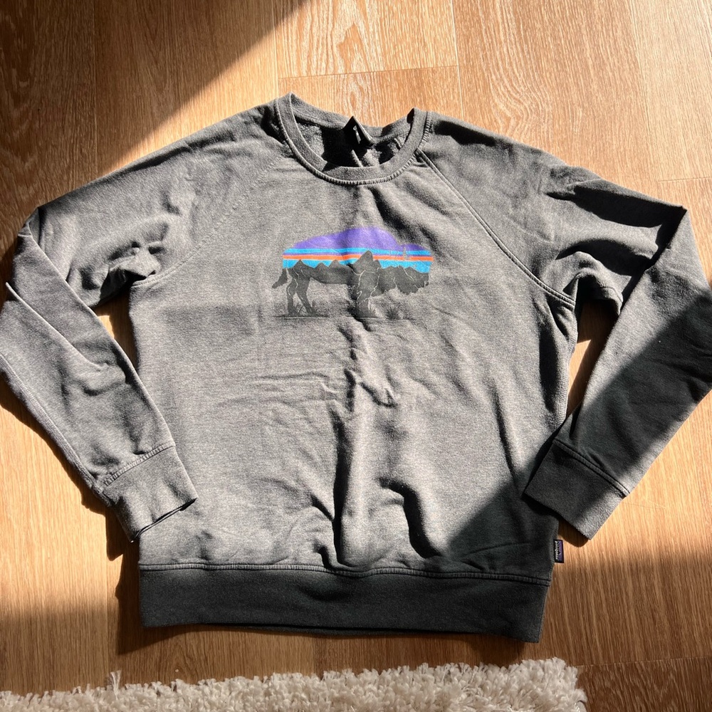 Patagonia sweatshirt